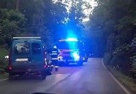 Dopravní nehoda u Strenic.