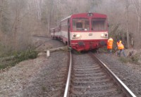 Několik vlaků během dne narazilo do stromů, spadlých na trať. Foto: Drážní inspekce