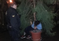 Opilý muž usnul pod stromem. Foto: MP Mladá Boleslav
