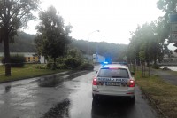 Vyvrácený strom v Nádražní ulici v Mladé Boleslavi. Foto: MP Mladá Boleslav