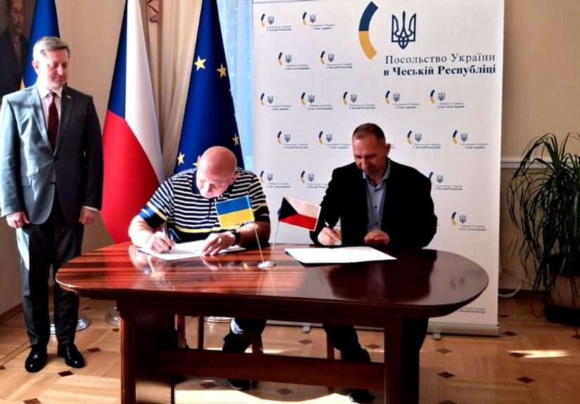 zubr_viktoria_polska